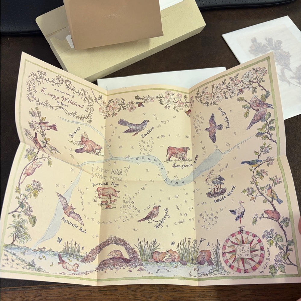 Ffern Spring 26 Sample Box - image 2